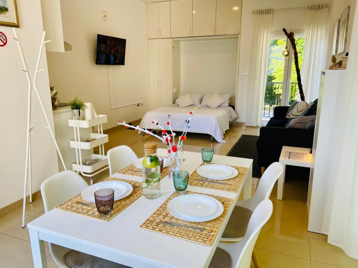 Studio Apartment Stazion With Free Parking Пазин Екстер'єр фото